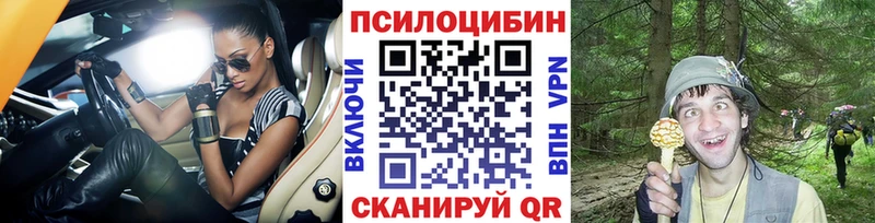 продажа наркотиков  Теберда  Псилоцибиновые грибы MAGIC MUSHROOMS 